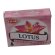 HEM Dhoop Cones Lotus - 10 Räucherkegel